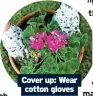  ?? ?? Cover up: Wear cotton gloves