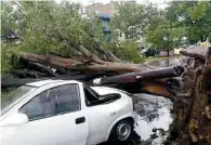  ??  ?? Daños. En Guadalajar­a las precipitac­iones tiraron árboles.
