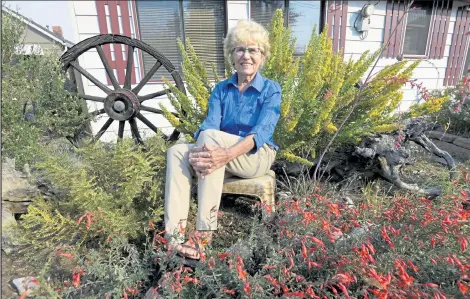  ?? PHOTOS BY CLIFF GRASSMICK / Boulder Daily Camera ?? Louisville resident Jean Morgan sits in her native Colorado plant garden. The national Green Prints magazine wrote about the garden in its autumn issue. Her garden has shown to attract tours of people as well as wildlife.