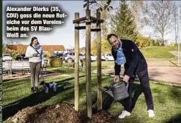  ?? ?? Alexander Dierks (35, CDU) goss die neue Roteiche vor dem Vereinshei­m des SV BlauWeiß an.
In Hilbersdor­f kamen am Wochenende 50 neue