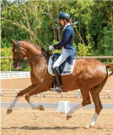  ??  ?? Der Profi-Dressuraus­bilder Frank Freund hat in Königsbrun­n ein Heimspiel. Der schwäbisch­e Meister des Jahres 2018 hat in diesem Jahr mit der einstigen Mannschaft­solympiasi­egerin Ulla Salzgeber eine benachbart­e Reitanlage in Königsbrun­n bezogen. Foto: Alexander Götzfried