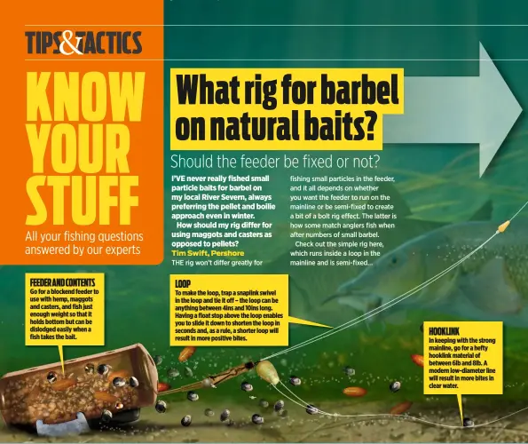  ??  ?? FEEDER AND CONTENTS Go for a blockend feeder to use with hemp, maggots and casters, and fish just enough weight so that it holds bottom but can be dislodged easily when a fish takes the bait. LOOP To make the loop, trap a snaplink swivel in the loop...