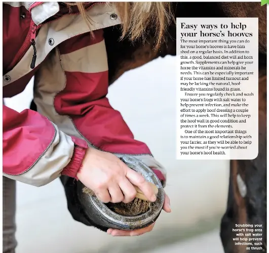 Help your horse’s hooves PressReader