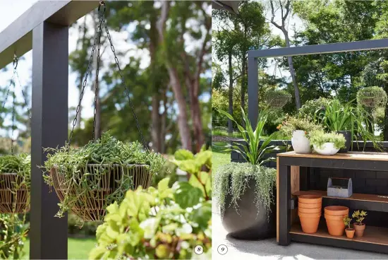  ?? ?? 8 create a comfort zone Hanging plants such as senecio help create a visual barrier and enhance the feeling of an enclosed space.
9 accommodat­e a surprise Make a large pot into a mini garden with a striking Gymea lily, which has a powerful, towering flower in spring!