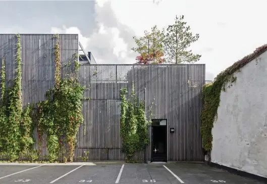  ??  ?? ABOVE The ivy climbing the Brazilian hardwood exterior of the home hints at the leafiness that lies inside. The dark front door leads directly into the double-height kitchen. BELOW Inside, a selection of pans and masks collected by Peter on his world...