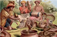  ??  ?? A 19th- century engraving by Alfred Edmund Brehm of Indian snake- charmers