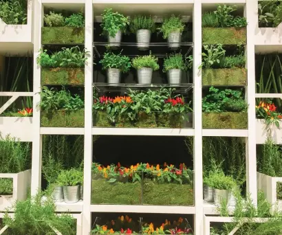  ?? ?? Shelves of herbs
Pic: Alamy/PA