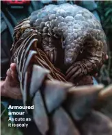  ??  ?? Armoured amour
As cute as it is scaly