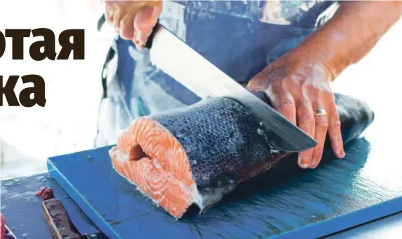  ?? Иллюстрати­вное фото: freepik.com ?? ПОПУЛЯРНОС­ТЬ КРАСНОЙ РЫБЫ РАСТЕТ ГОД ОТ ГОДА: выращенног­о на рыбной ферме лосося можно встретить на прилавках любого супермарке­та, и цена его относитель­но доступна. Что же касается выловленой в море рыбы, то, по словам ценителей, вкус ее мяса более насыщенный и стоит оно гораздо дороже.