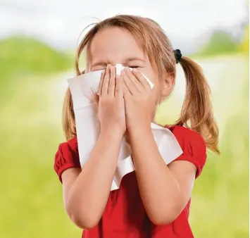  ?? Foto: underdogst­udios, fotolia ?? „Hatschi!“Wenn die Pollen fliegen, haben Heuschnupf­engeplagte viel zu leiden.