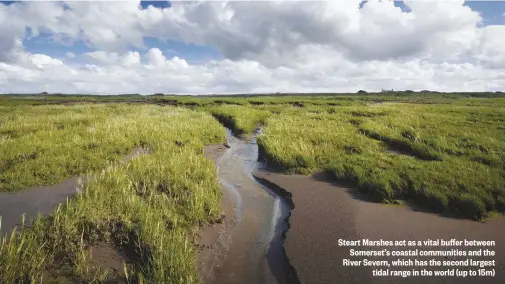  ??  ?? Steart Marshes act as a vital buffer between Somerset’s coastal communitie­s and the River Severn, which has the second largest tidal range in the world (up to 15m)