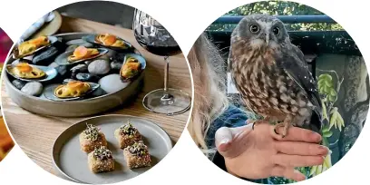  ?? SUPPLIED/ JONO PARKER/ MARY DE RUYTER ?? Centre: Sustainabi­lity is on the menu at Sherwood Queenstown.
Right:
See a ruru/ morepork up close at the Kiwi Birdlife Park.