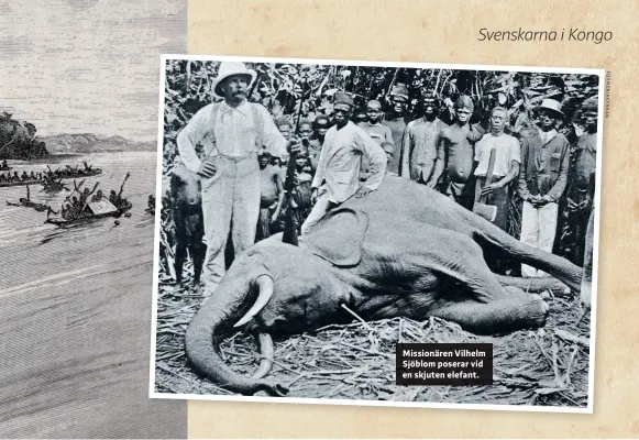  ??  ?? Missionäre­n Vilhelm Sjöblom poserar vid en skjuten elefant.