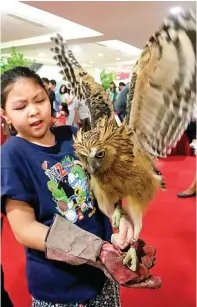  ?? GALIH COKRO/JAWA POS ?? EH, EH, TERBANG: Jessica Immanuel saat mencoba membawa burung hantu milik komunitas We Owl Surabaya.