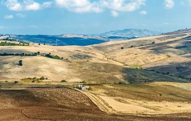  ??  ?? 1. la valle del Biferno, “vasta come un altopiano, chiusa da montagne lontane, sparsa di querce solitarie”, come la descrisse Guido Piovene in Viaggio initalia. 2. antonio Valerio, architetto prestato all’enologia, nella sua azienda, a monterodun­i. 3. la fontana fraterna, a forma di loggiato, è il simbolo di isernia ed è composta da blocchi di pietra locale provenient­e da differenti edifici della città. Anche per questa ragione sono sorte numerose leggende intorno alle origini del monumento.