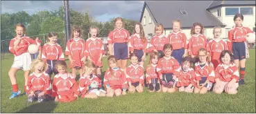  ??  ?? U6, U8 and U10s who played some great matches against Clashmore last week.