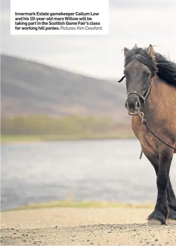  ?? Pictures: Kim Cessford. ?? Invermark Estate gamekeeper Callum Low and his 10-year-old mare Willow will be taking part in the Scottish Game Fair’s class for working hill ponies.