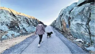  ??  ?? A Yarmouth County resident walks his dog on the Leif Erikson Trail at the Yarmouth lighthouse in Cape Forchu earlier in March. On March 23, the Municipali­ty of Yarmouth said this is one of its many areas that are now closed to the public.