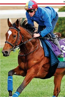  ?? RACINGFOTO­S ?? Classy: Dettori and Enable on track in Kentucky