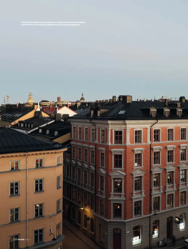  ??  ?? Utsikten över Södermalms takåsar var något som Herman och Szilárd fastnade för när de först såg lägenheten på Ludvigsber­gsgatan.