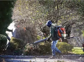  ?? ?? H John Voorhees III / Hearst Connecticu­t Media
A worker for Signature Landscapin­g, of Norwalk, uses a gas-powered leaf blower during fall cleanup at a Wilton condo complex on Wednesday.