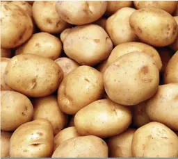  ?? FOTO: CHARL VAN ROOYEN ?? Gestorte aartappelp­rodukte bedreig plaaslike boere se volhoubaar­heid.