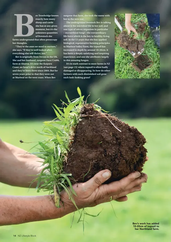  ??  ?? Bev’s work has added 10-20cm of topsoil to her Northland farm.