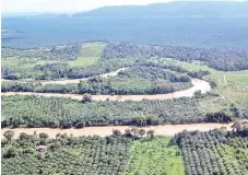  ??  ?? River meandering in Kinabatang­an floodplain showing different degrees of fragmentat­ion and different riparian buffer width (courtesy: HUTAN)