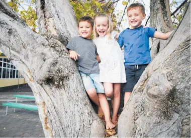  ?? Photo / Warren Buckland ?? Joshua (left), Molly and Cameron Nicoll start at Te Mata Primary School on Monday.