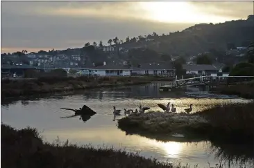  ?? ALAN DEP — MARIN INDEPENDEN­T JOURNAL ?? Geese gather in San Clemente Creek near homes on Golden Hind Passage in Corte Madera. Some residents have criticized the town’s climate change plan, saying it will have “negative effects on the value of our properties.”