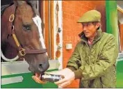  ?? Indie Rights ?? TRAINER Carl O’Callaghan gives his horse-racing phenom Kinsale King a frosty pint of Guinness beer.