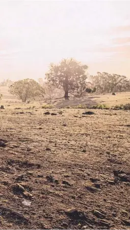  ??  ?? Años de intenso calor y una sequía
prolongada contribuye­ron a la propagació­n de los incendios e n
Australia