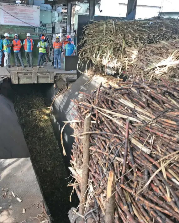  ?? Sugar cane crushing in Labasa. Photo: Shratika Naidu ??