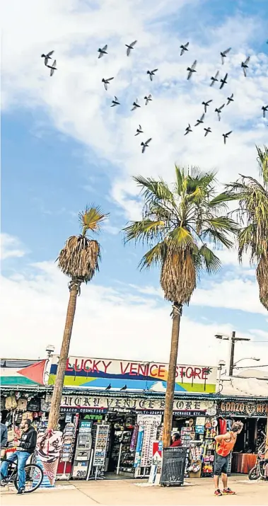  ??  ?? TRIPPY: On the promenade in Venice Beach, Los Angeles. LA is one of 12 cities now offering Airbnnb Trips — insider experience­s with locals — including a hang-out session with some urban farmers and eco-activists in Venice where you can get your hands...