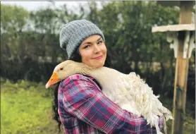  ??  ?? Sam MacAulay, who has started the The Isle of Arran Mink Eradicatio­n Project, with one of her flock, a rare breed Sebastopol goose.