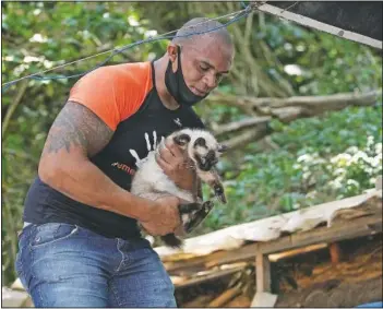  ??  ?? A volunteer from Animal Heart Protectors holds an injured abandoned cat.