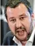  ??  ?? Matteo Salvini