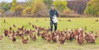  ?? FOTO: HEINZ THUMM ?? Franz Koch setzt auf hofeigenes Futter für seine Hühner.