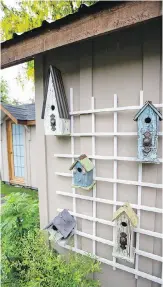  ??  ?? Bird houses hang on a lattice, adding interest to a garage wall.