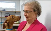  ?? ANTHONY PEZZOTTI / THE PHILADELPH­IA INQUIRER ?? Lorraine Young hugs Andy, who had a 3D replica of his spine created to guide his surgery at St. Francis Veterinary Center in Woolwich Township, N.J., last month.