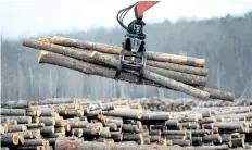  ?? THE CANADIAN PRESS FILES ?? Despite on-going softwood negotiatio­ns, the Canadian government says it’s readying itself for potential litigation.