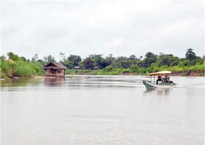  ?? ?? THE Agusan Marsh Wildlife Sanctuary in Agusan del Sur, a vast complex of freshwater marshes and watercours­es.