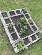  ??  ?? Cinder blocks can be used to make a low-cost raised bed.