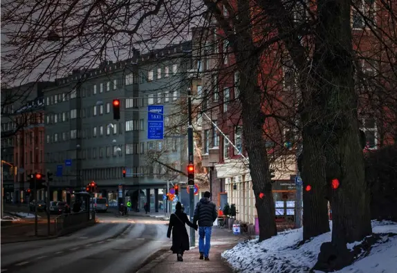  ?? FOTO: CATA PORTIN ?? ■
De här majestätis­ka lindarna utanför hotellet Scandic på Mannerheim­vägen kommer att sågas ned.