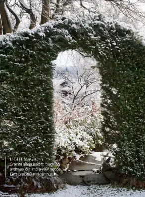  ??  ?? LIGHT MAGIC Granite slabs lead through an archway cut into a yew hedge Left Graceful miscanthus