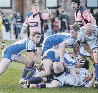  ??  ?? LOOKING FOR THE LINE ... A Yorkshire player gets ready to move the ball on (above 121958f) in front of a bumper 2,023 crowd at Silver Royd (right 121958b)