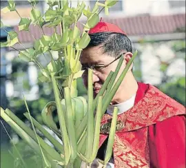  ?? ROMEO RANOCO / REUTERS ?? Tagle bendice la palma el domingo de Ramos del 2016 en Manila