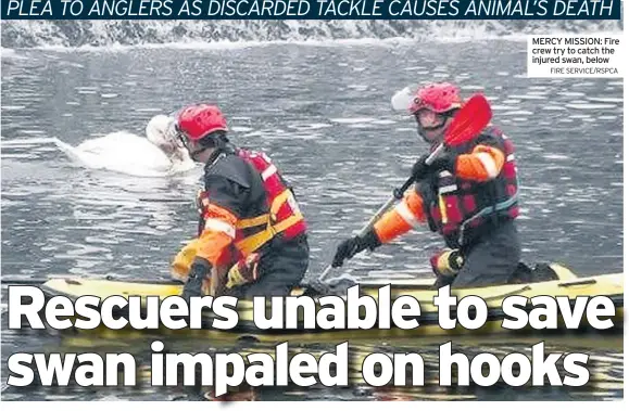  ?? FIRE SERVICE/RSPCA ?? MERCY MISSION: Fire crew try to catch the injured swan, below