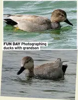  ?? ?? FUN DAY Photograph­ing ducks with grandson