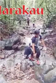  ??  ?? (Gambar atas) ANTARA denai laluan menuju puncak Bukit Dompurungo­n.